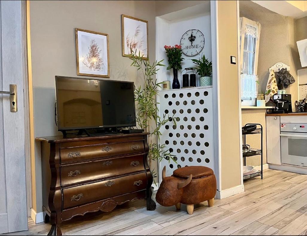 Apartament Majowa Jelenia Góra Exterior foto