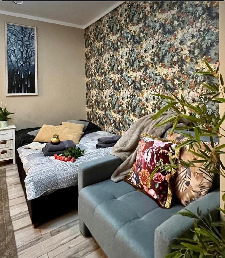 Apartament Majowa Jelenia Góra Exterior foto